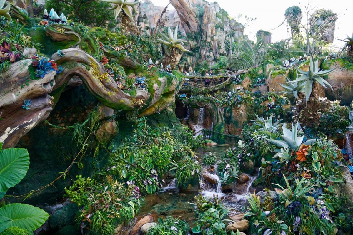 Disney World 3755 1 1