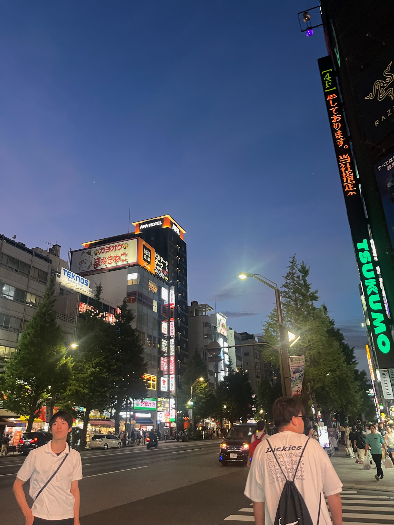 A busy Akihabara street at night with bright anime billboards and crowds. Our first stop on our post-cruise Japan land journey.